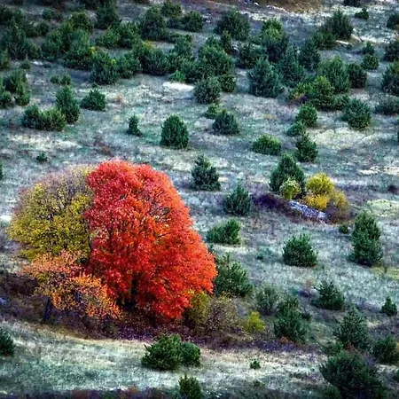 In Centro Storico アパート